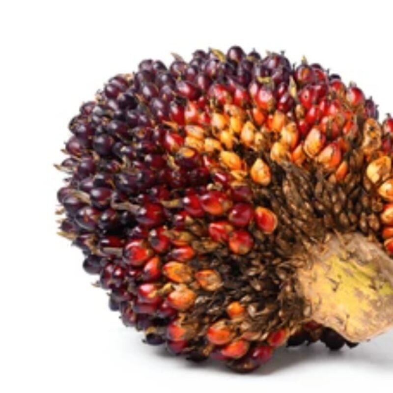 Palm Kernel (25kg)