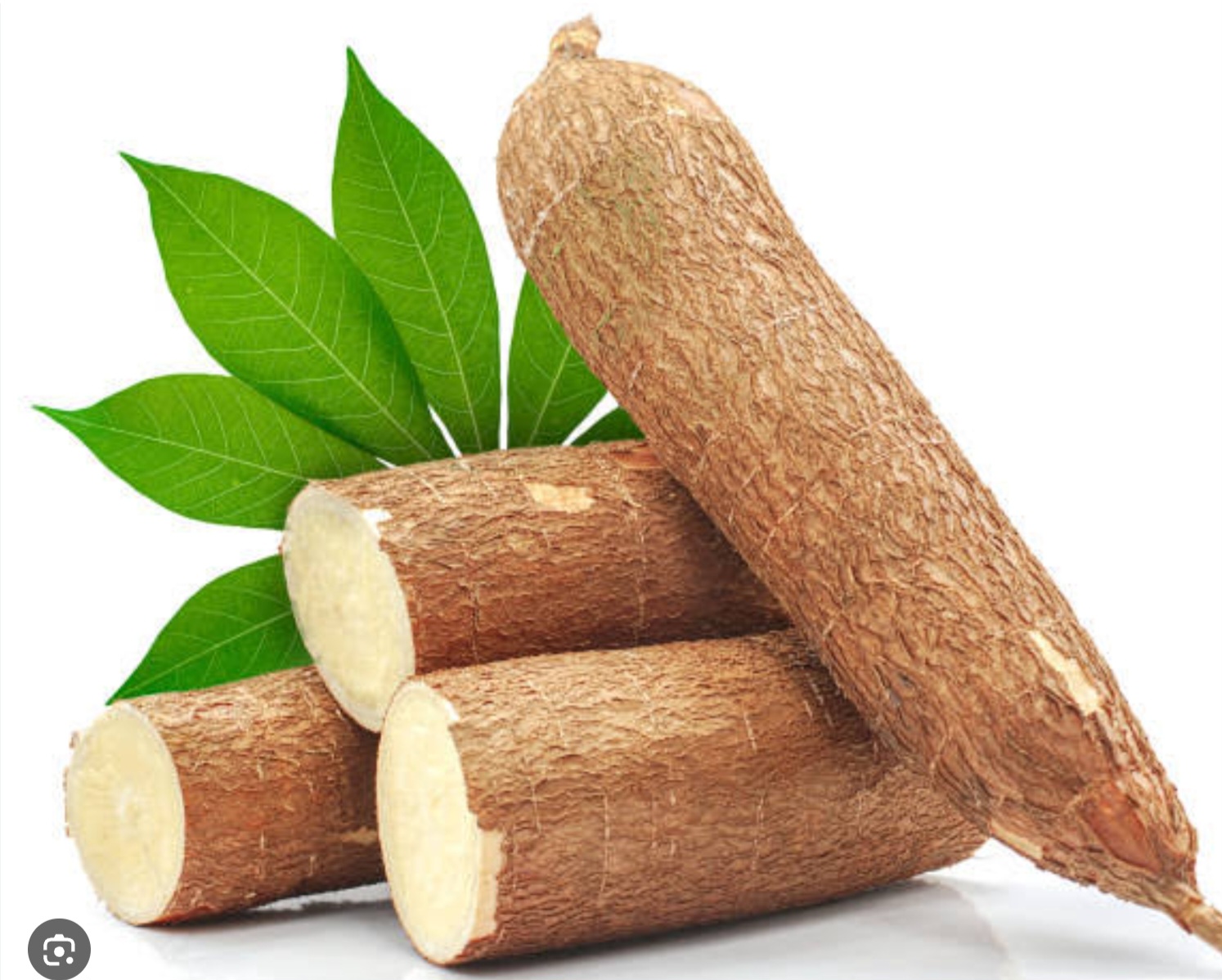 Cassava (10kg)
