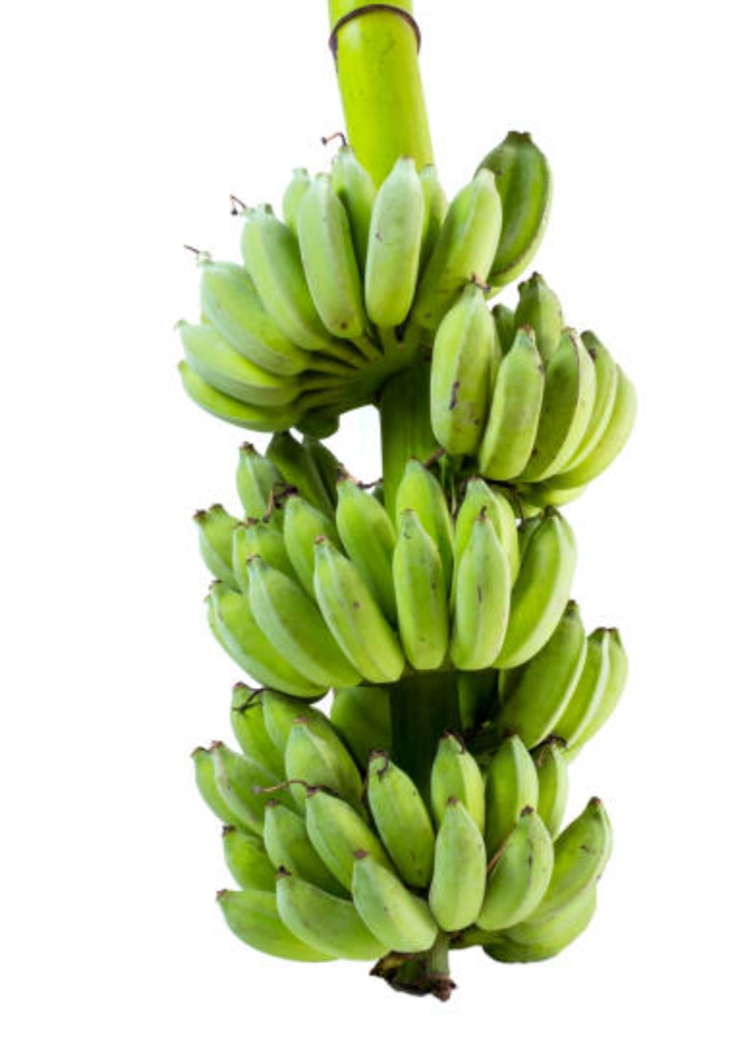 Plantain(5kg)