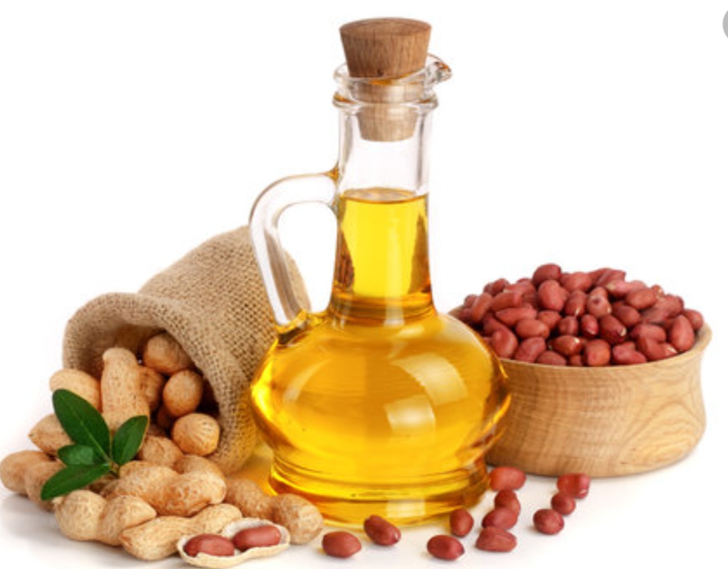 From Cocoa Pod to Global Market — The Journey of Africa’s Finest Cocoa